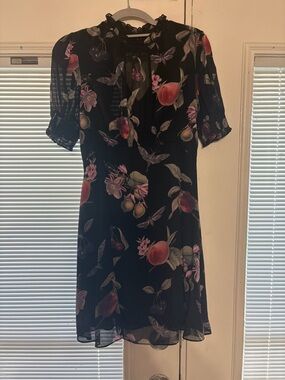 AllSaints Black Floral & Fruit Print Mini Dress